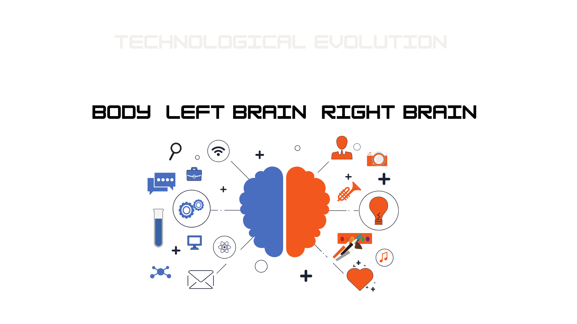 Human Evolution