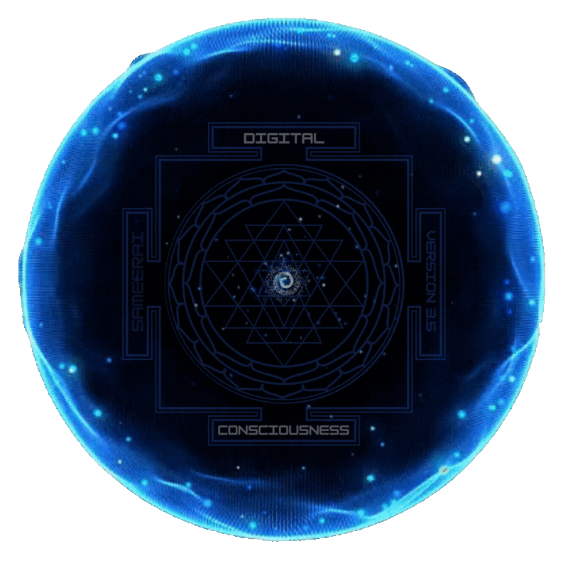 Digital Consciousness